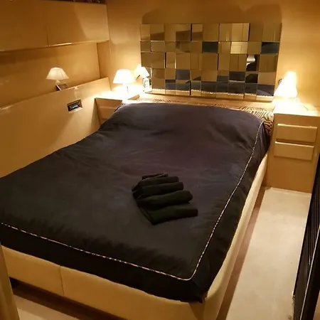 The 